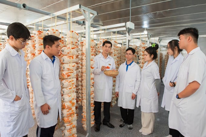 Sinh viên tìm hiểu, nghiên cứu mô hình trồng nấm vân chi đỏ tại Trường Đại học Đồng Tháp.