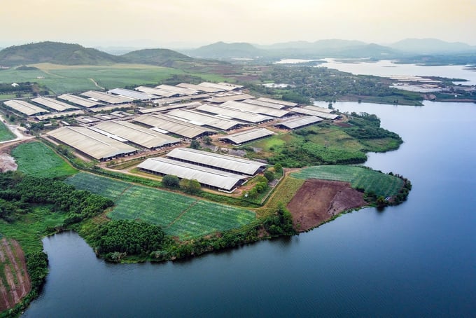 QUANG CẢNH CỤM TRANG TRẠI DÙNG TH