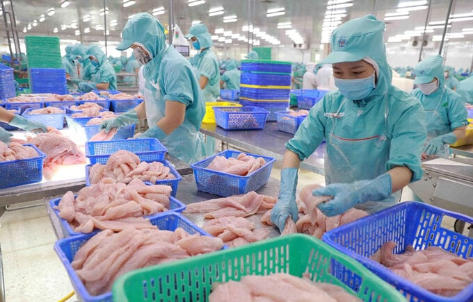 Hiện nay, chỉ khoảng 5–7% sản lượng cá tra được tiêu thụ tại thị trường trong nước.