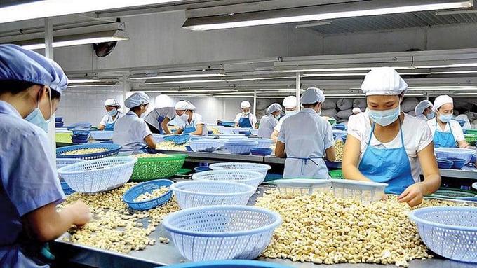 hạt điều