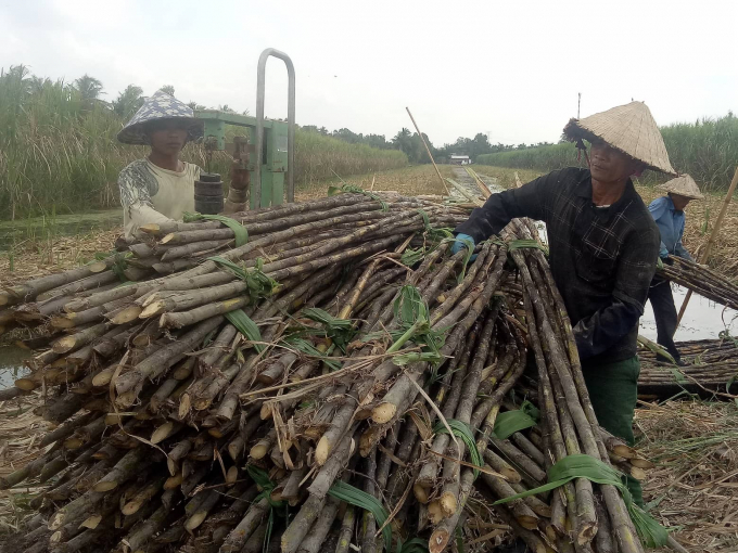 Các doanh nghiệp thuộc các quốc gia nghèo sẽ được thành viên ngân hàng thế giới IFC hỗ trợ 4 tỷ USD để khắc phục hậu quả Covid-19. Ảnh: minh họa