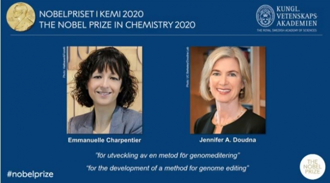 Nobel20Chemistry