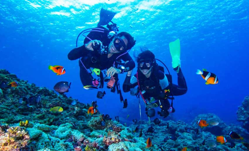 tour-lan-bien-nha-trang-diving-ava