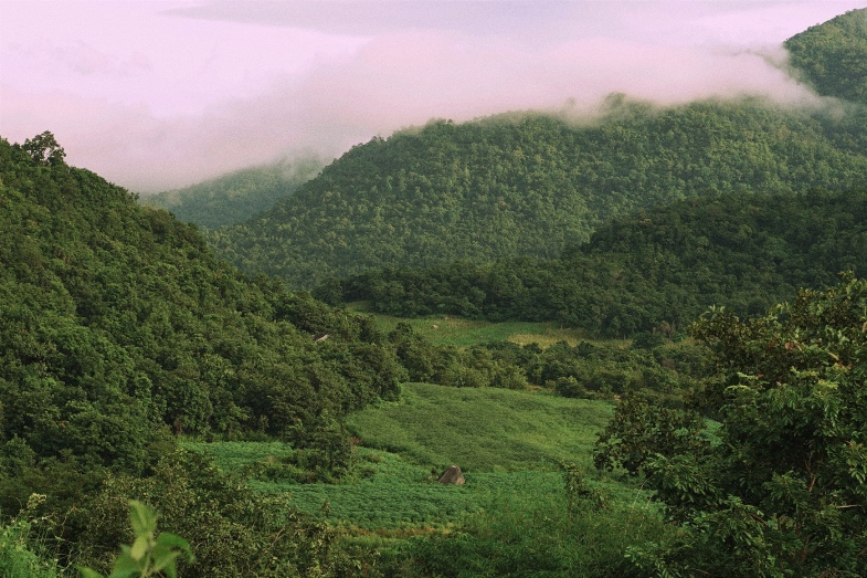 Vườn quốc gia Núi Chúa