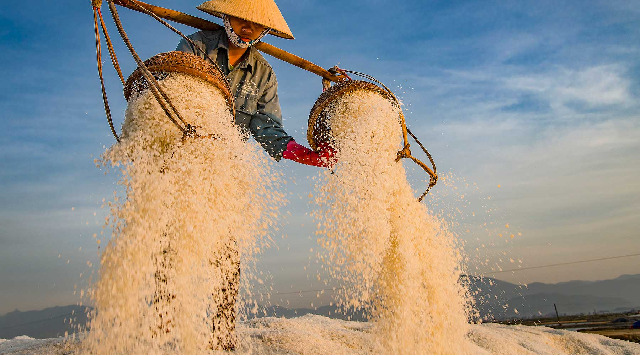 ve-dep-binh-di-chan-chat-cua-con-nguoi-khanh-hoa-1
