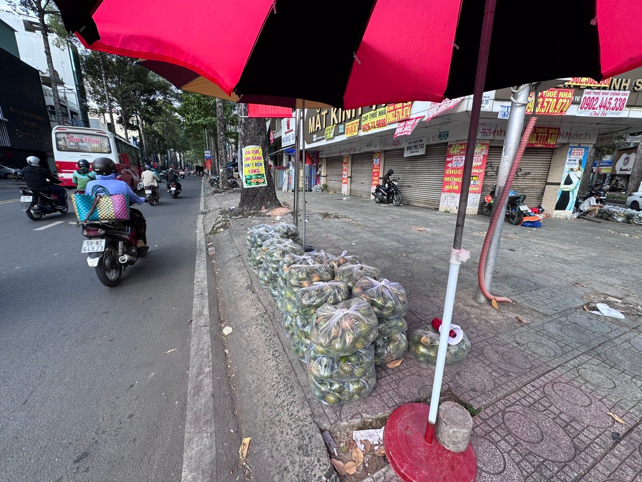 Nắng nóng, cam sành 
