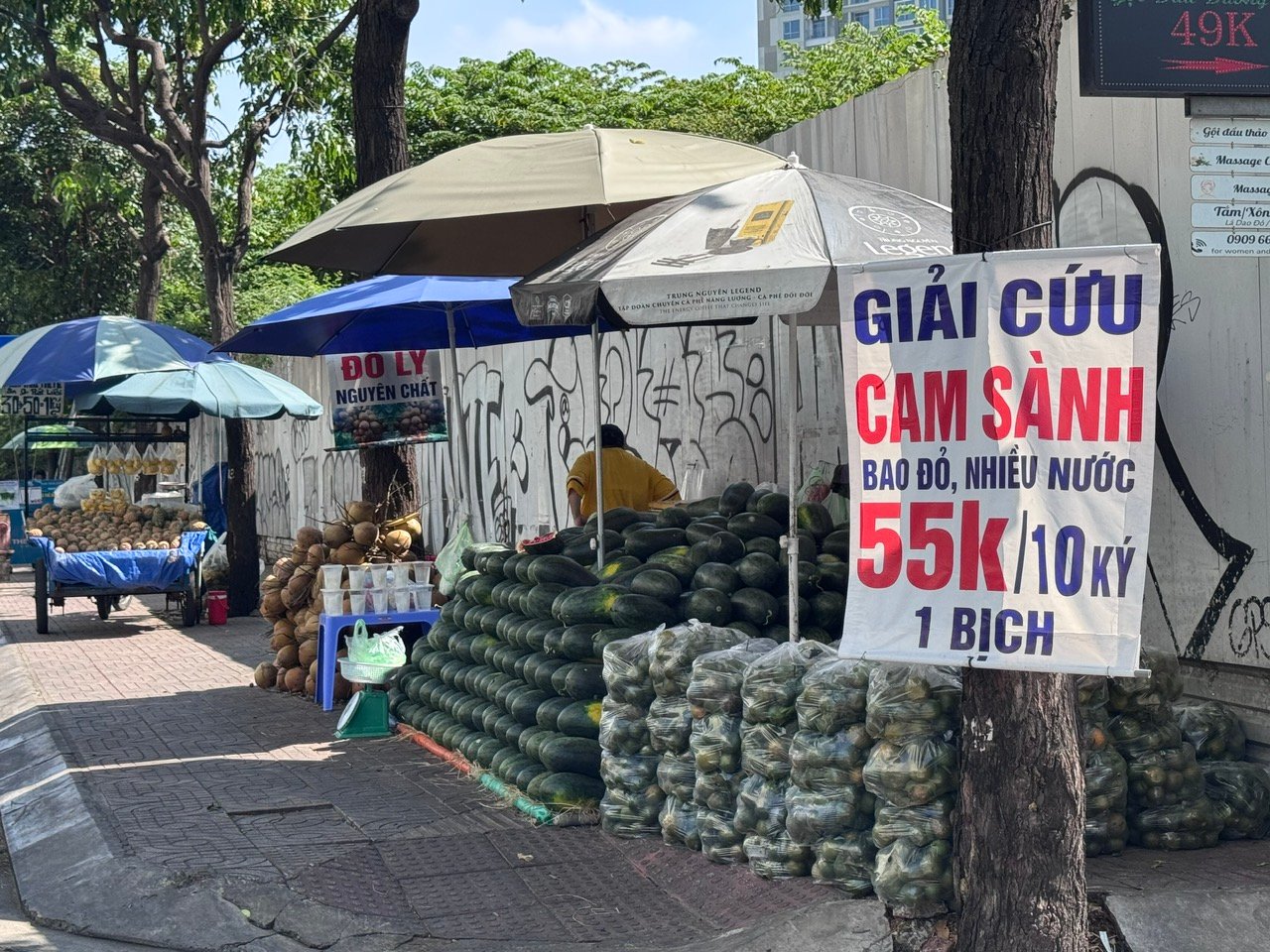 Nắng nóng, cam sành 