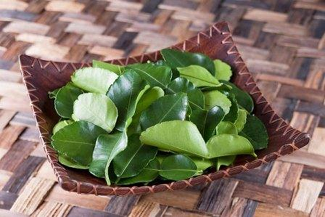 Đừng chỉ ăn quả, lá loại cây này quý như