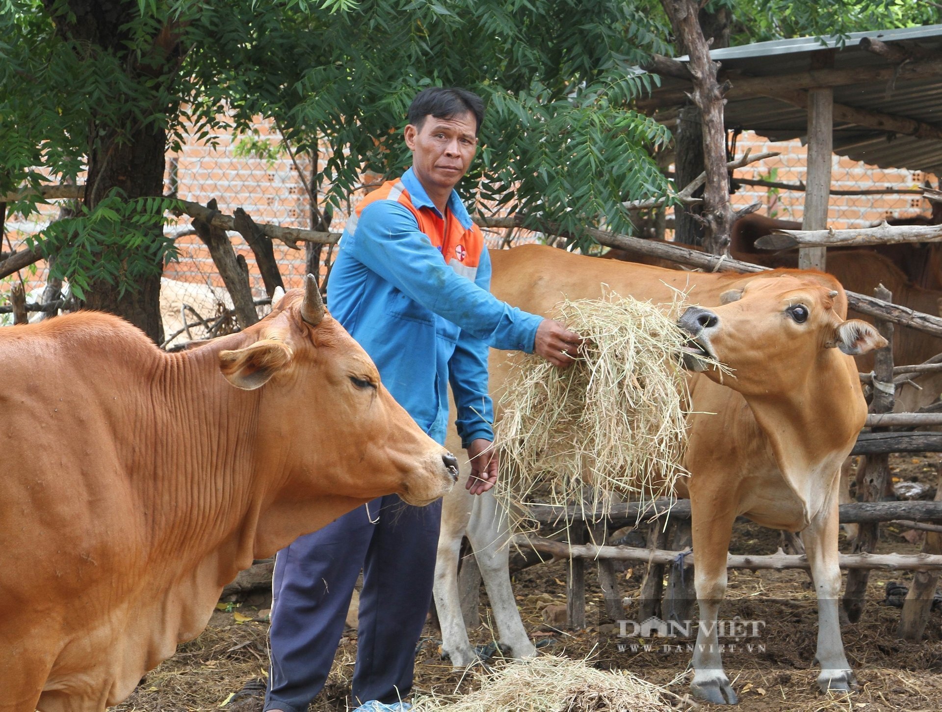 Quỹ Hỗ trợ nông dân Ninh Thuận tiếp vốn cho các dự án giúp tạo việc làm, liên kết sản xuất, tăng thu nhập