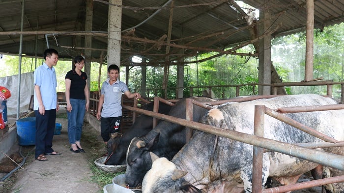Nông dân huyện Hiệp Hòa của Bắc Giang tạo gia sản riêng, chung nhau làm nhờ Quỹ Hỗ trợ nông dân