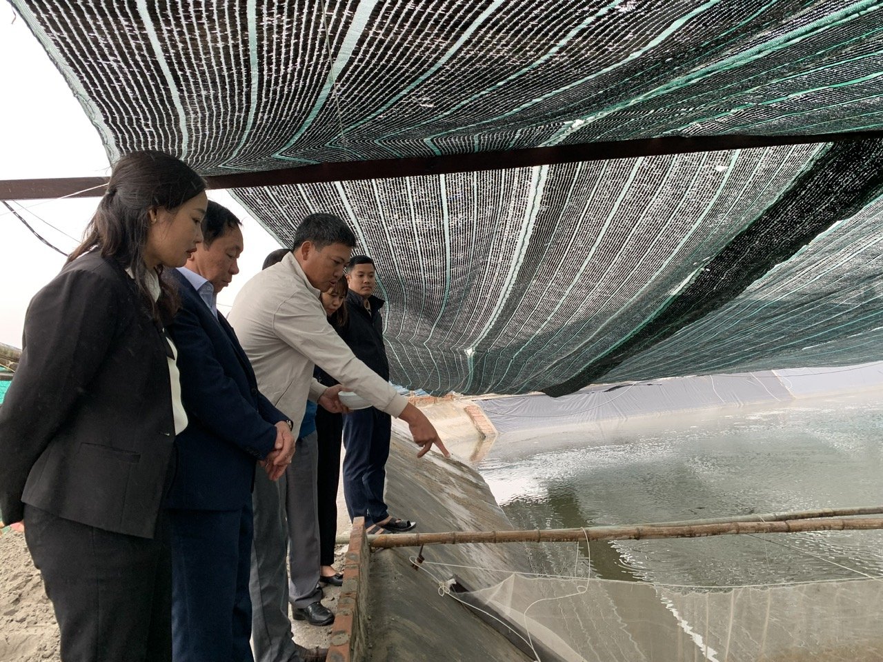 3 tỷ phú Nam Định ở một huyện, là Nông dân Việt Nam xuất sắc, hộ nuôi yến, nuôi ốc hương, hộ trồng nấm