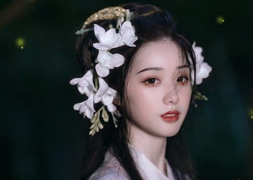 ngũ đại mỹ nhân Trung Quốc, tứ đại mỹ nhân Trung Quốc