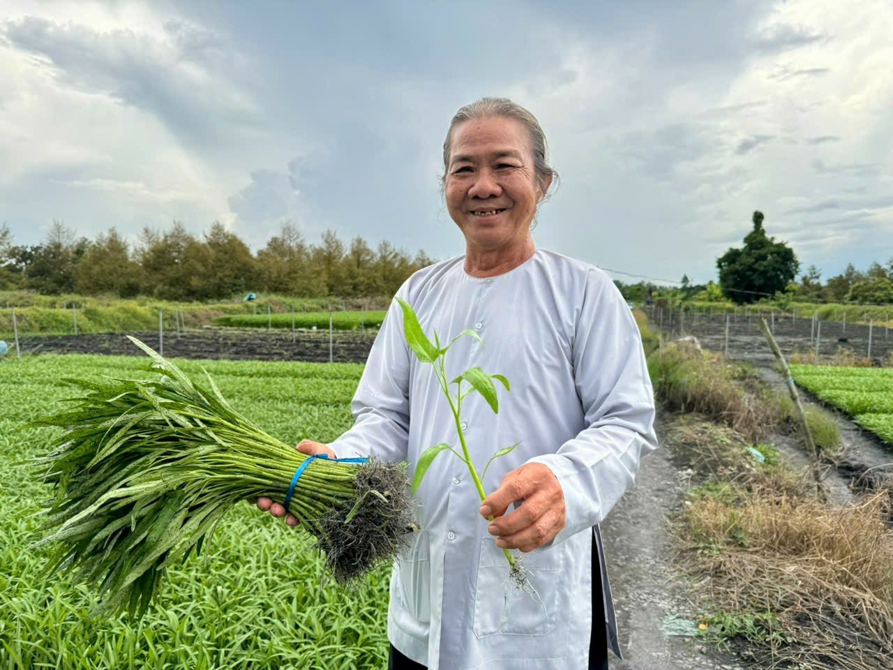 Một ông giám đốc HTX ở Cần Thơ rủ cả xóm trồng 'rau nhà nghèo' kiểu gì mà nhà nào cũng có của ăn của để?