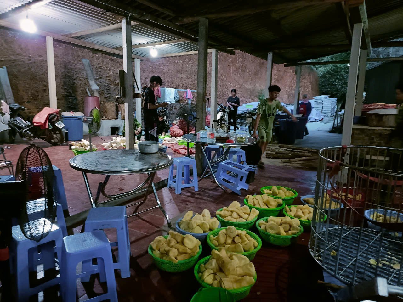 Trồng cây đặc sản tên lạ hoắc, ở nơi này của Tuyên Quang giảm nhà nghèo, tăng hộ triệu phú, có của ăn của để