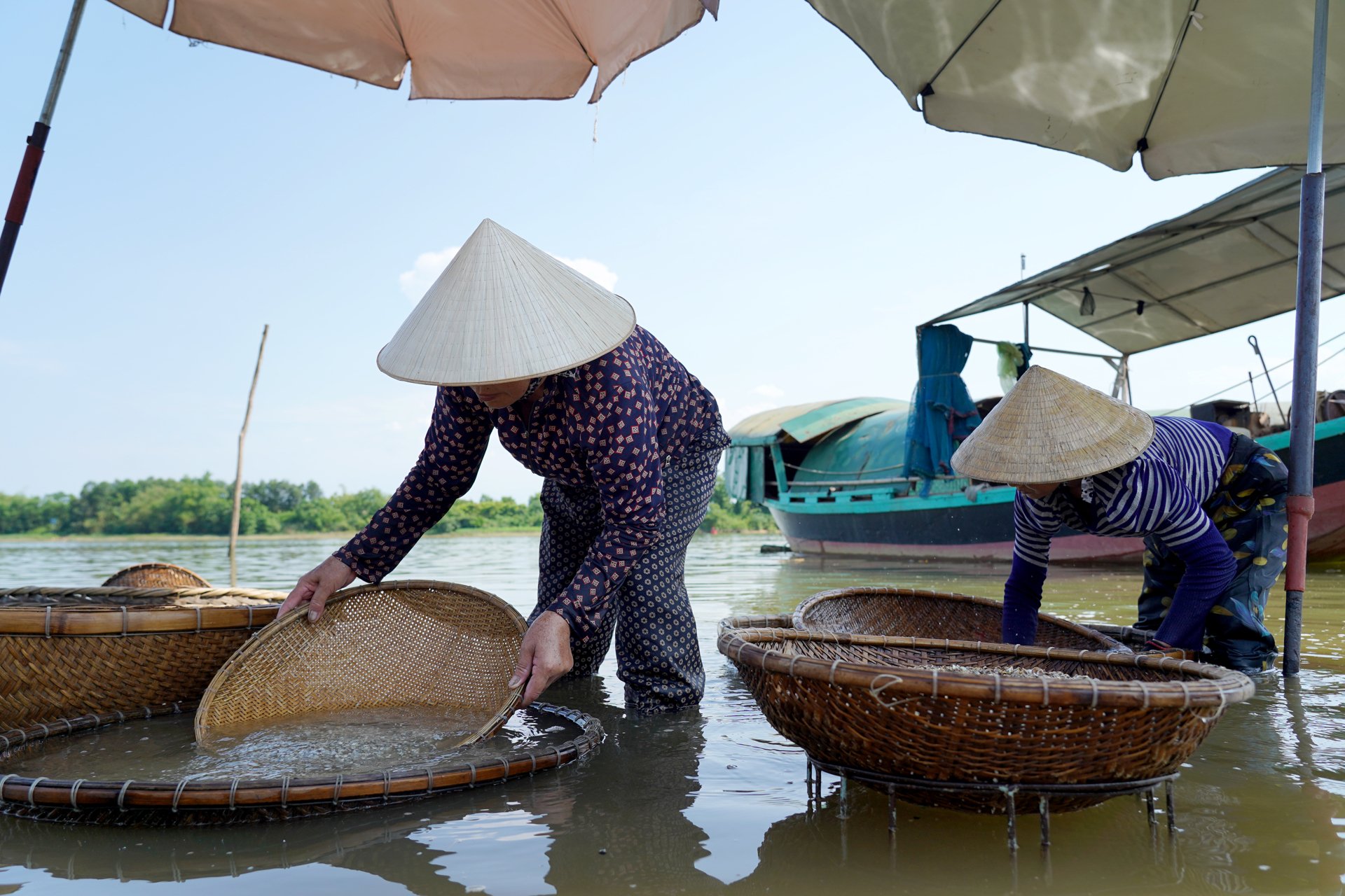 Làng cổ bên sông La ở Hà Tĩnh có nghề xúc hến, chế biến hến đã 300 tuổi, dân giảm nghèo, có hộ khá giả hẳn lên