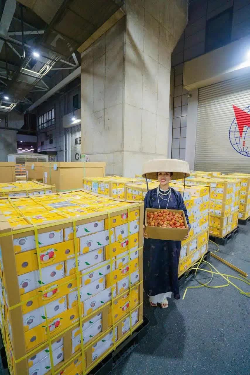 Lô vải thiều đầu tiên của năm 2025 đã được xuất khẩu qua Nhật Bản- Ảnh 1.