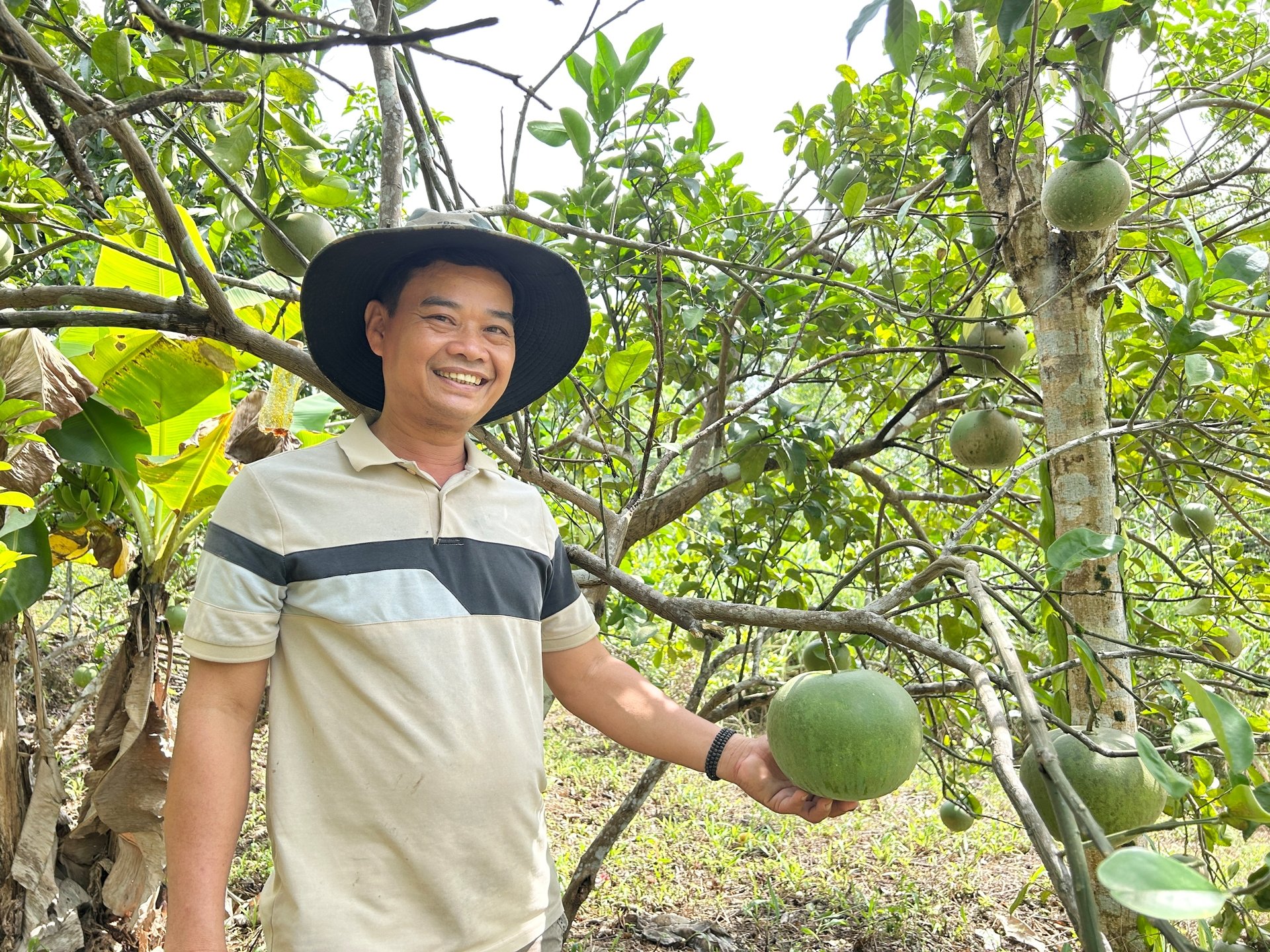 Một nông dân Đà Nẵng có cách thoát nghèo hay, biến đất cằn thành 'miệt vườn miền Tây' la liệt quả ngon