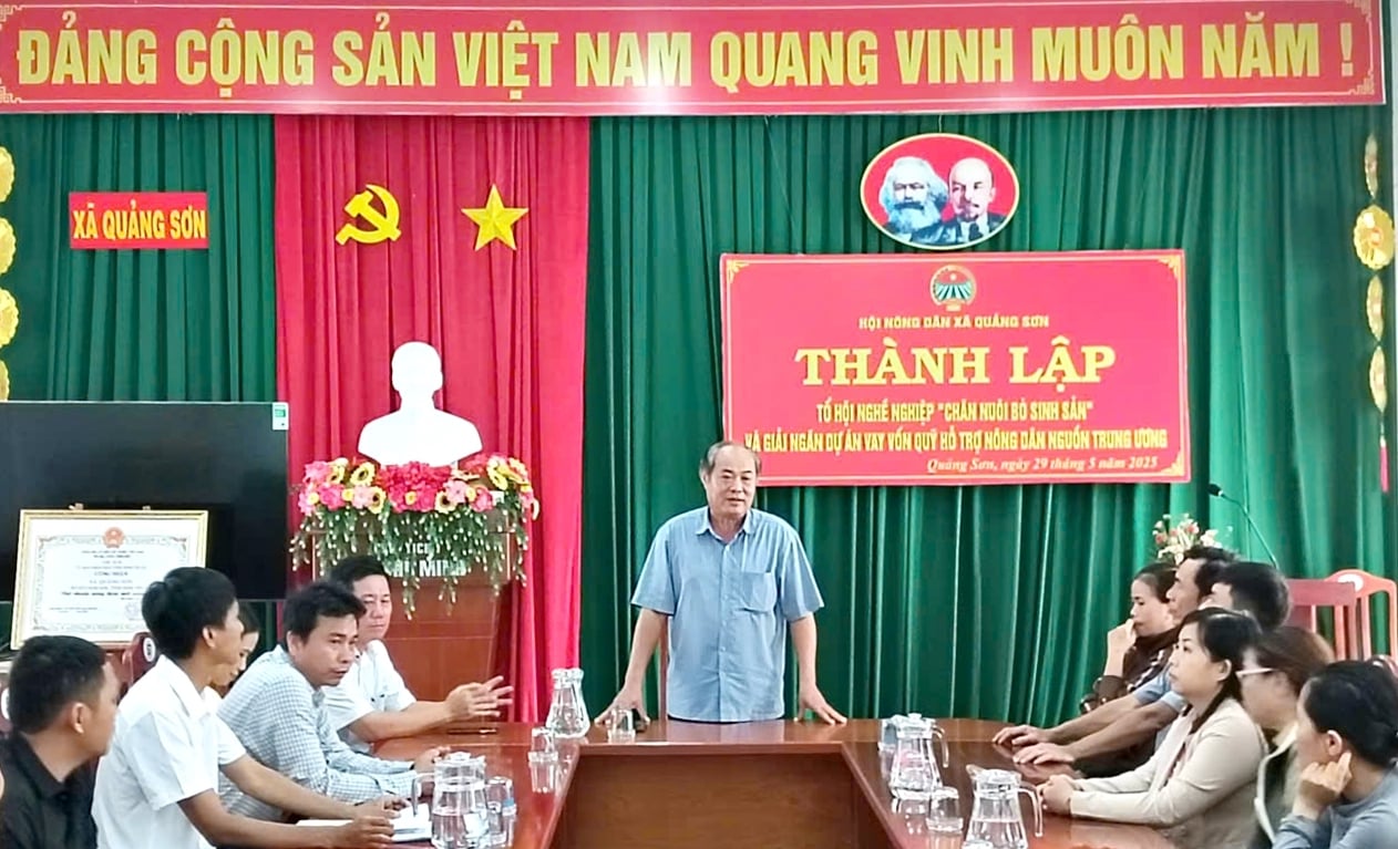 Hội Nông dân tỉnh Ninh Thuận giải ngân 500 triệu đồng cho dự án “Chăn nuôi bò sinh sản”