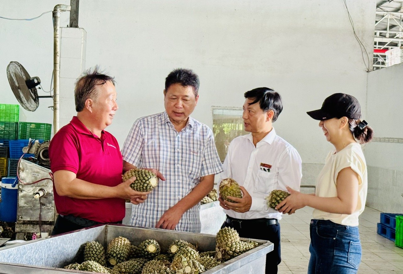 Agribank Vĩnh Long: Đòn bẩy vững chắc cho nông sản xuất khẩu, tạo sinh kế bền vững