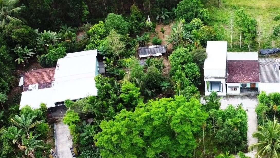 Ký ức Hà Nội: Chợ làng, chợ phố trong lòng Thủ đô