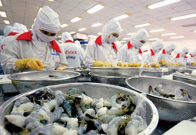Áp thuế chống bán phá giá lên tôm Việt xuất khẩu vào Mỹ, có doanh nghiệp bị áp trên 35%: VASEP đề nghị xem lại các tính toán