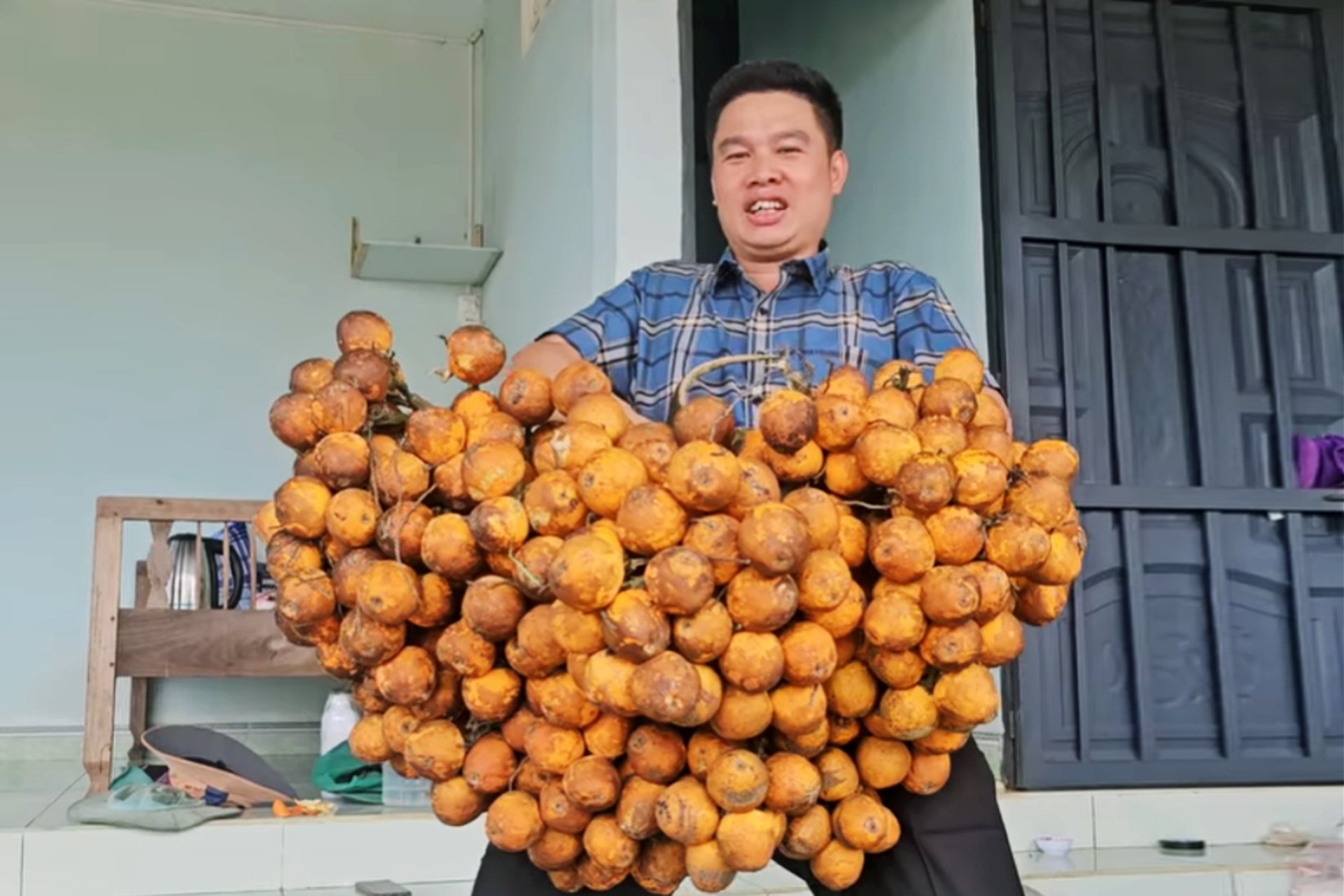 Giá cau tươi tăng mạnh ở Đắk Lắk, Đắk Nông, có buồng cau giống giá hơn 15 triệu đồng