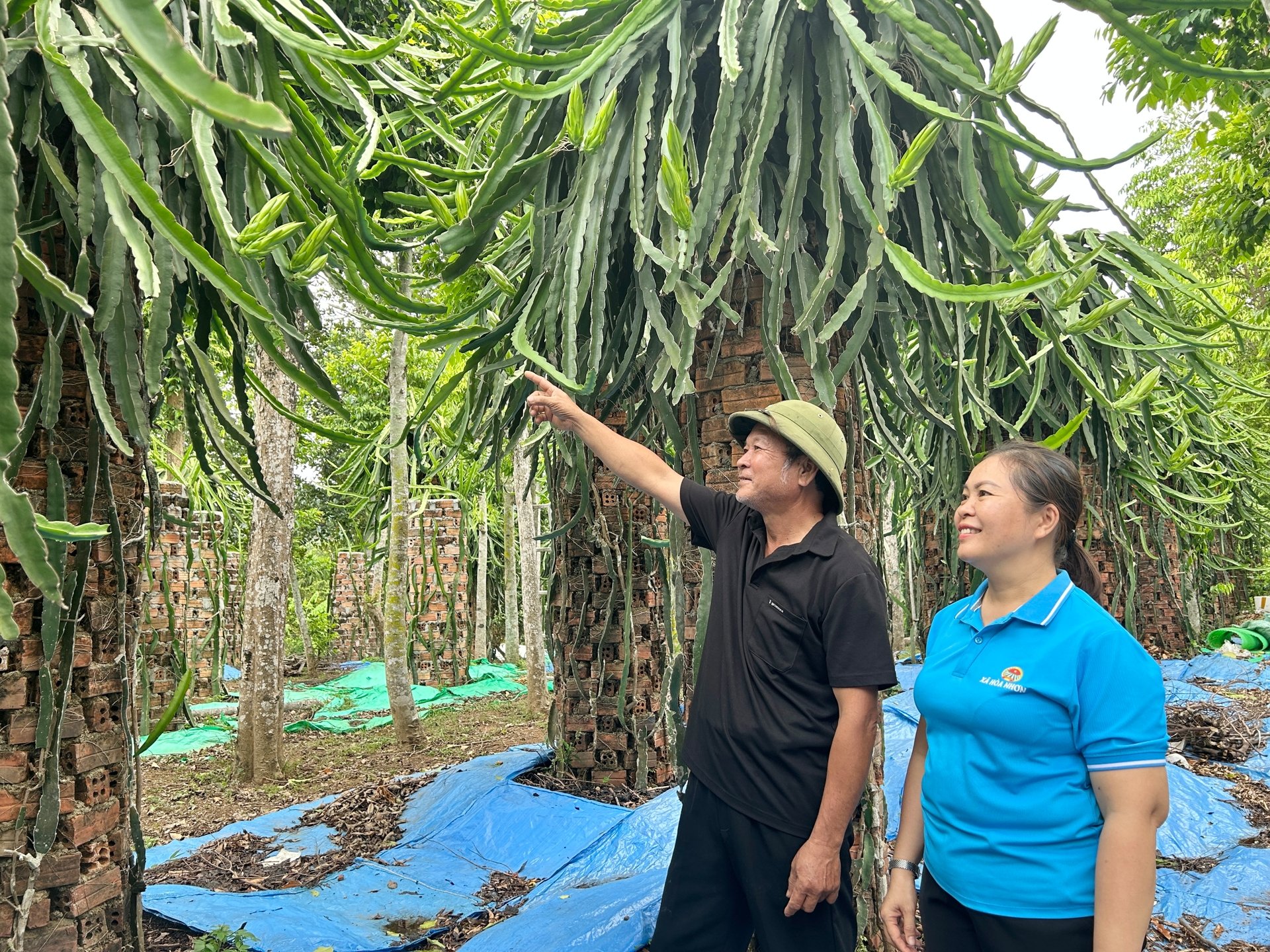 Hội Nông dân Hòa Nhơn, TP Đà Nẵng xây dựng nhiều mô hình kinh tế mới hiệu quả, giúp hội viên làm giàu