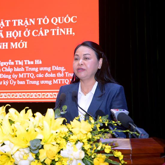 Từ 1/7, tổ chức, bộ máy của MTTQ Việt Nam, các tổ chức chính trị- xã hội cấp tỉnh và xã được quy định như thế nào?
