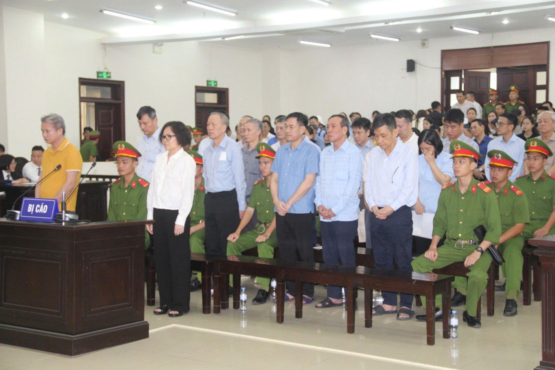 Cựu Chủ tịch FLC đang bị bệnh nên được xét xử vắng mặt