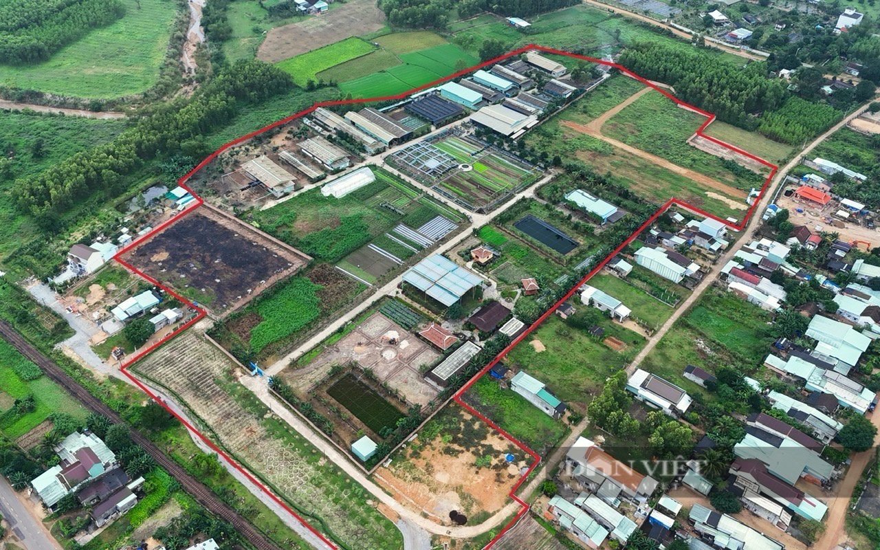 Phó Chủ tịch Bình Định chỉ đạo 'nóng' vụ công trình không phép giữa chiến dịch 'không vùng cấm'