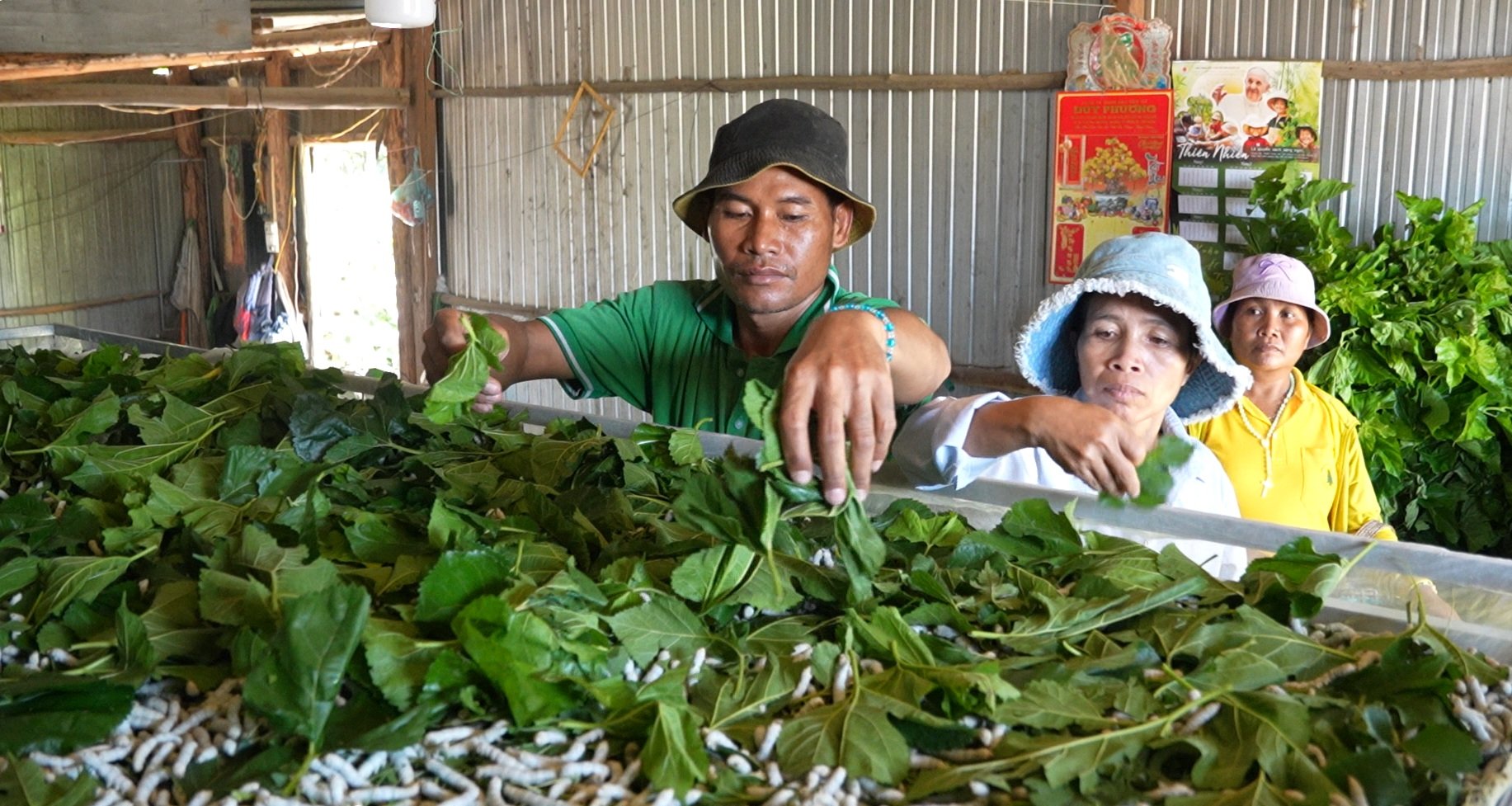 Phó Giám đốc Sở Nông nghiệp và Môi trường tỉnh Lâm Đồng: 5 giải pháp giảm nghèo bền vững vùng nông thôn
