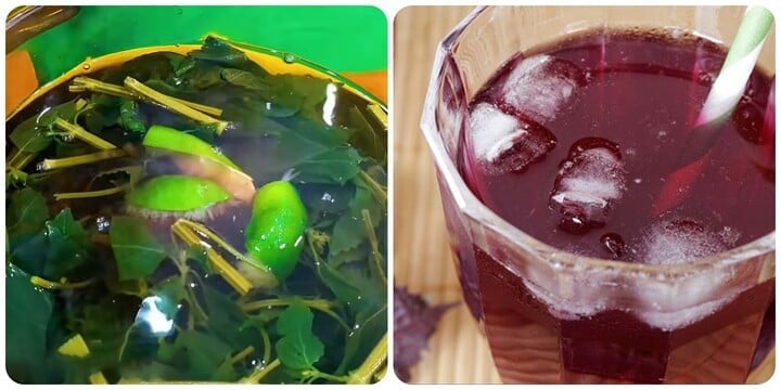 Nước lá tía tô rất tốt cho sức khoẻ