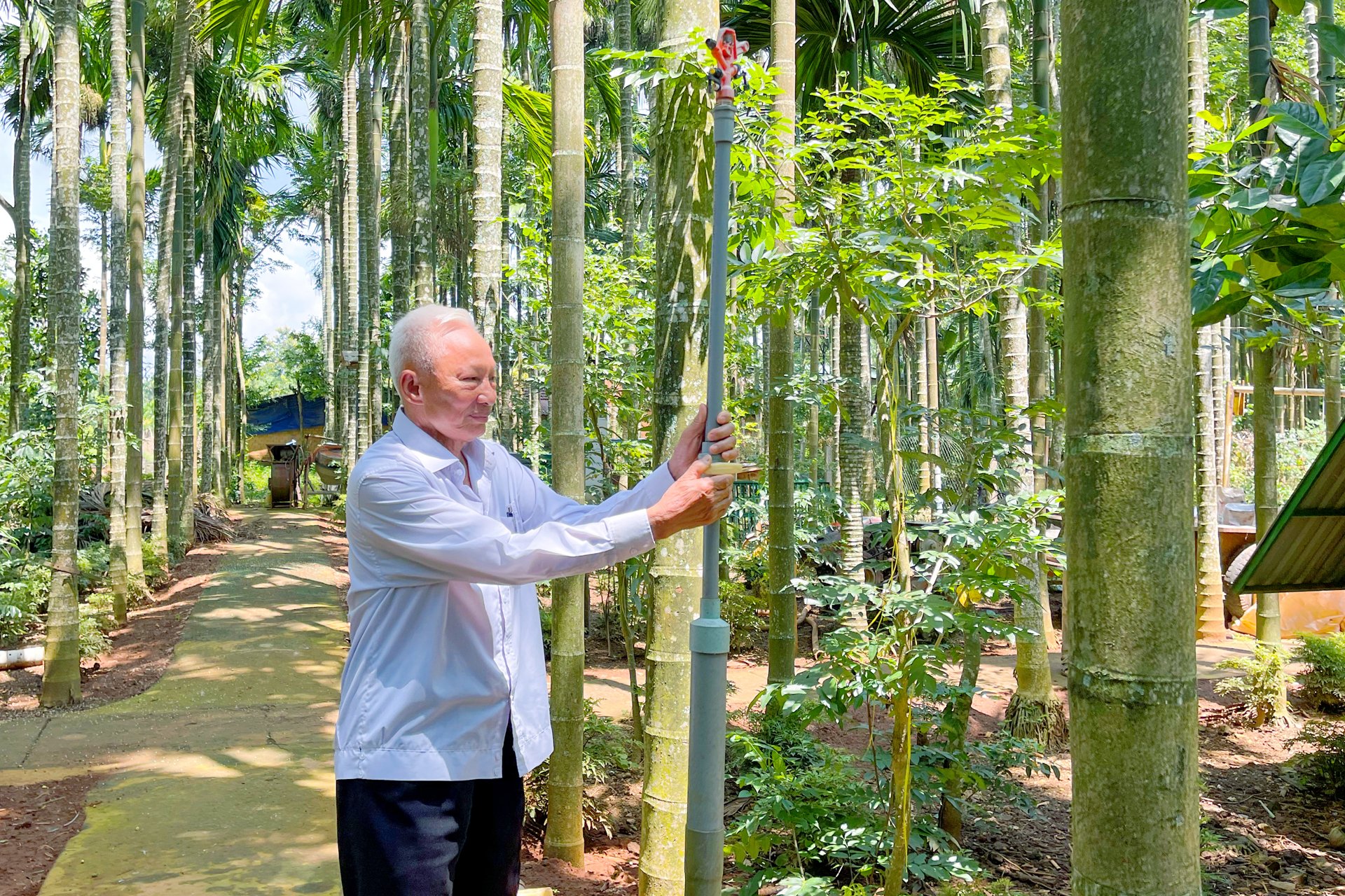 Một ông nông dân ở tỉnh Đắk Lắk mới có vỏn vẹn 4 sào đất, trồng cây gì mà lãi tiền tỷ, cả làng phục lăn?