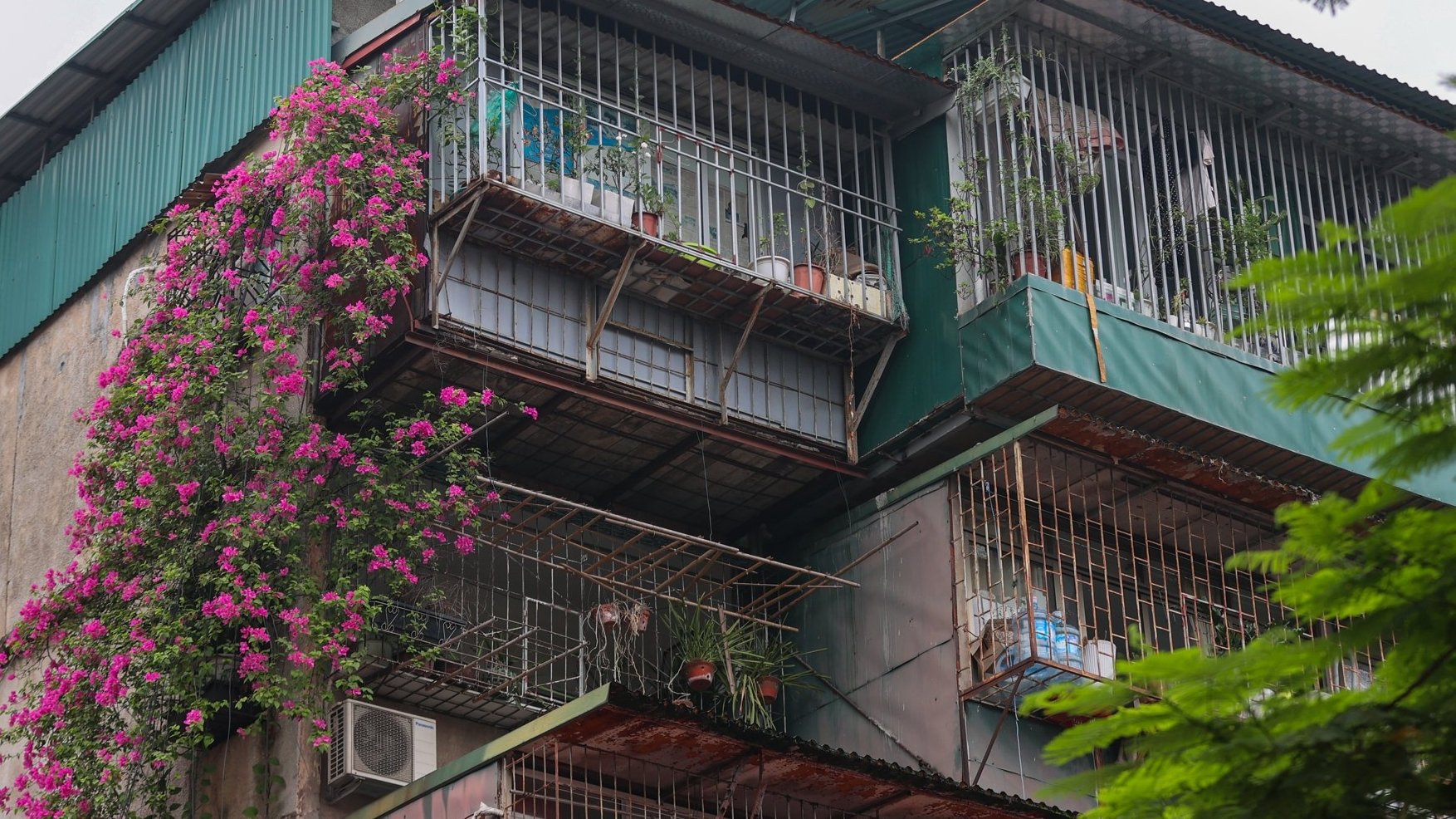 Hàng loạt khu tập thể lâu đời ở Hà Nội trong cảnh “không lối thoát' 
