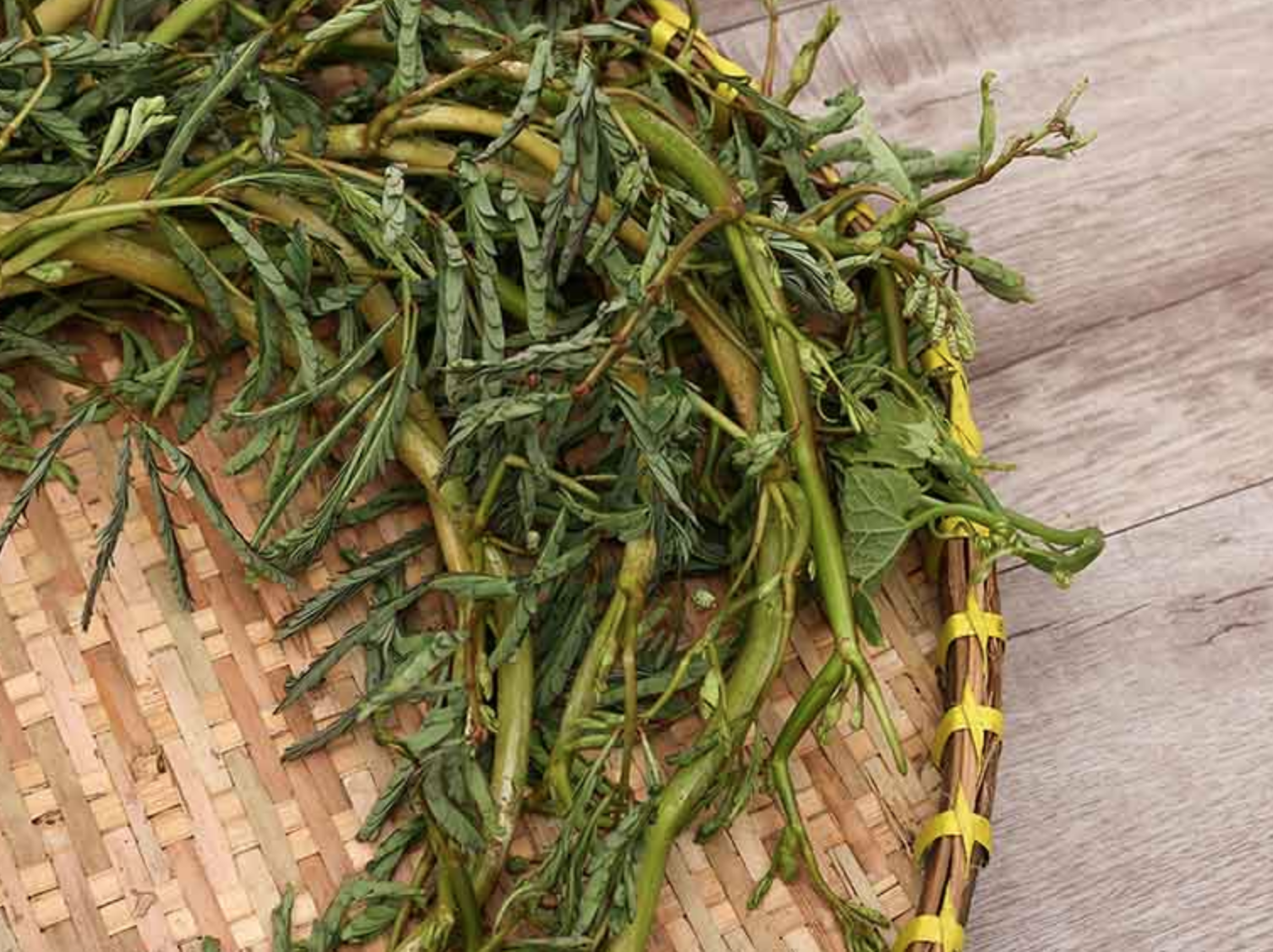 Loại rau 10.000 đồng/bó nhưng chỉ nhặt được 1 