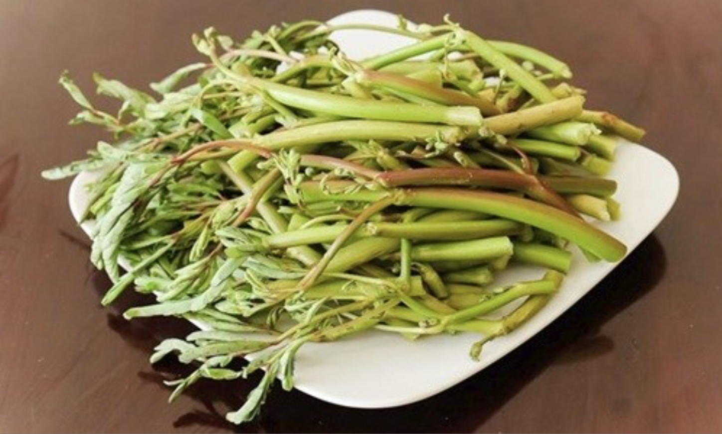 Loại rau 10.000 đồng/bó nhưng chỉ nhặt được 1 