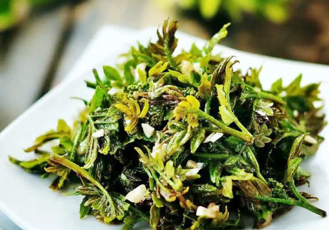 Cây xưa chỉ trồng lấy quả, nay hái lá đem bán cũng ra tiền - Ảnh 2.