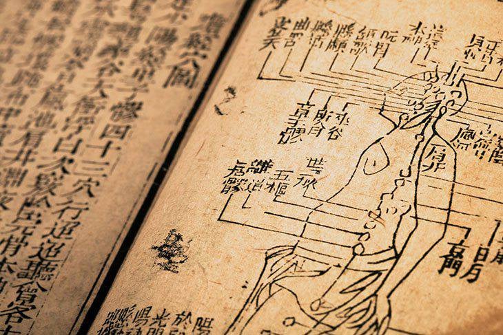 Người được mệnh danh là “ông tổ” thuốc Nam và mở đầu cho nền y dược cổ truyền của Việt Nam - Ảnh 6.