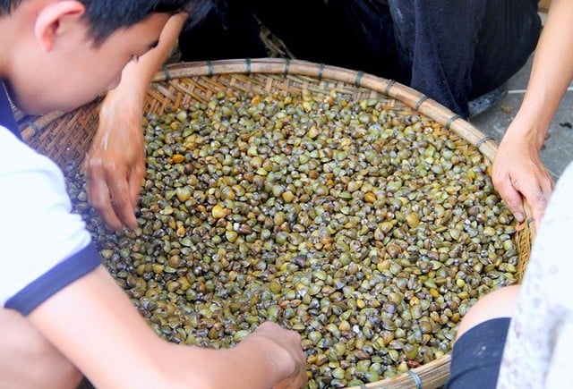 Khách Tây trầm trồ trước đặc sản 