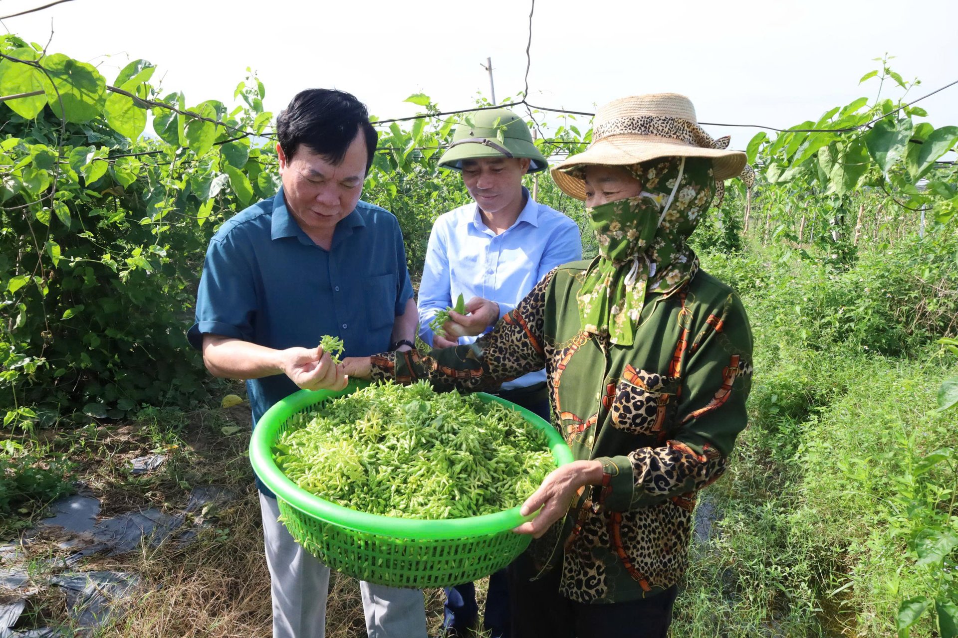 Hội Nông dân Thanh Hóa gắn kết hội viên qua chi, tổ hội nghề nghiệp, nông dân khá giả hẳn lên