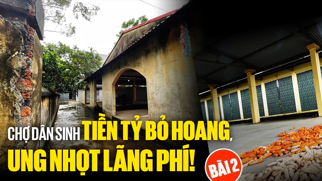 Chợ dân sinh tiền tỷ bỏ hoang: Vòng lặp những “khu chợ chết”, vì đâu nên nỗi? (Bài 2)