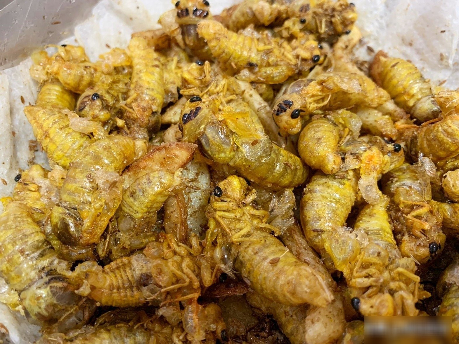 Loại thịt 'trên trời', có sắt cao gấp 30 lần thịt bò, bổ hơn thịt gà vịt, không mất tiền mua, ít người dám thử