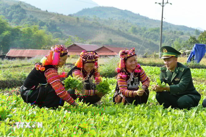 ttxvn-nganh-tuyen-giao-34.jpg