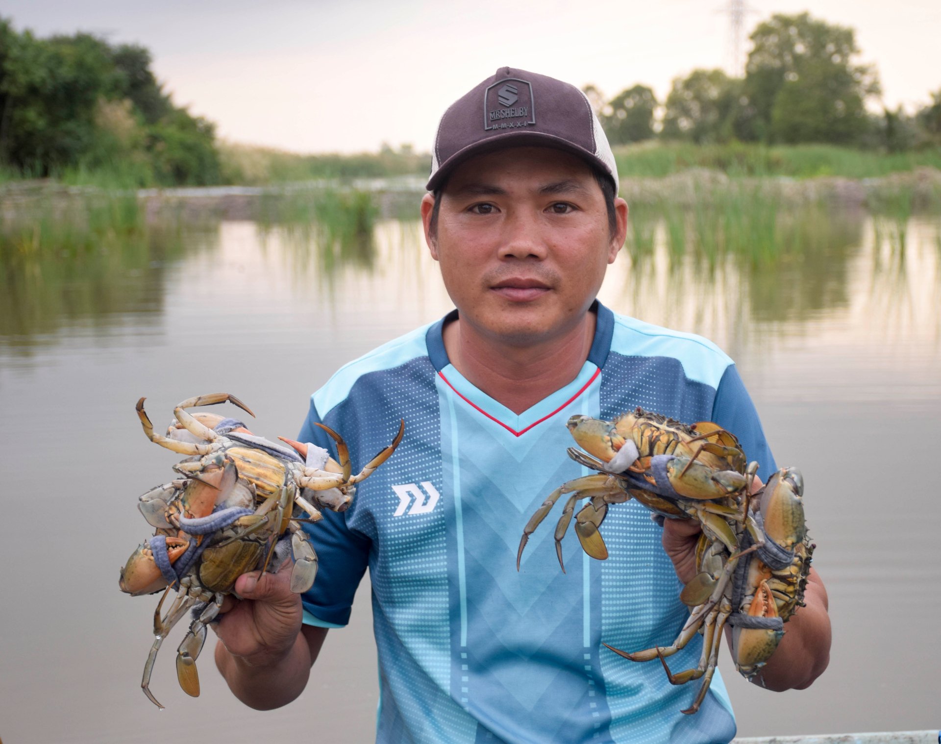 Cà Mau kỳ vọng nghề nuôi cua biển góp phần tăng trưởng kinh tế, đạt mức GRDP từ 8,5% năm 2025