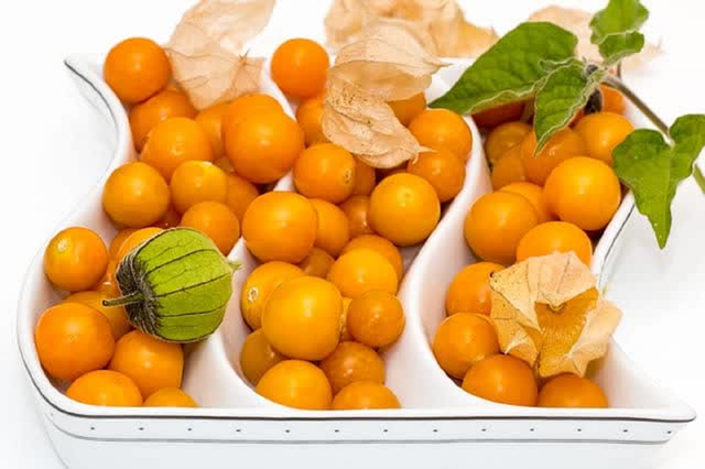 Loại quả dại ở Việt Nam ít ai 