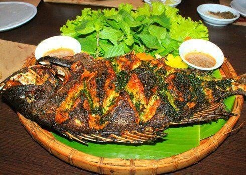 Loại cá được ví như