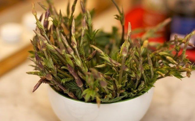 Loại rau dại từng ít người 