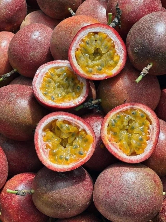 Loại quả thuộc nhóm 