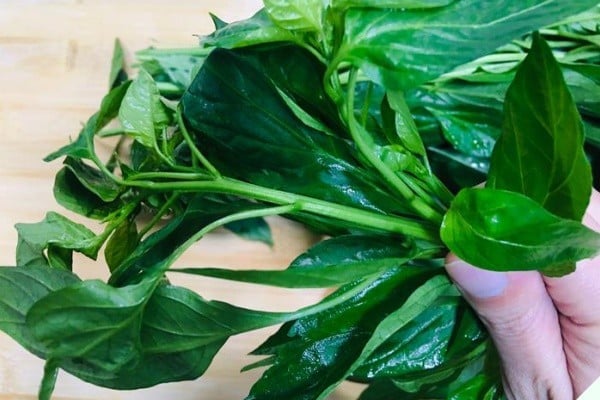Đừng chỉ ăn quả, lá loại cây này quý như 