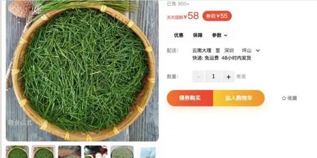 Loại lá dại ở nước ta 